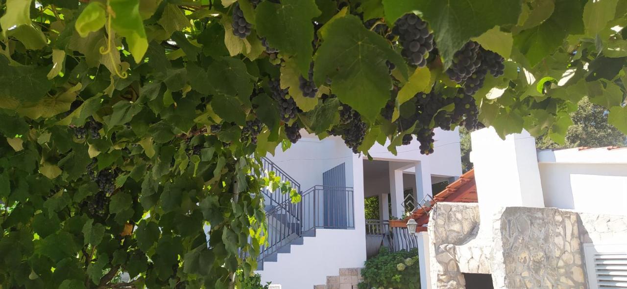 Apartment Lavanda Nova Ražanj Kültér fotó