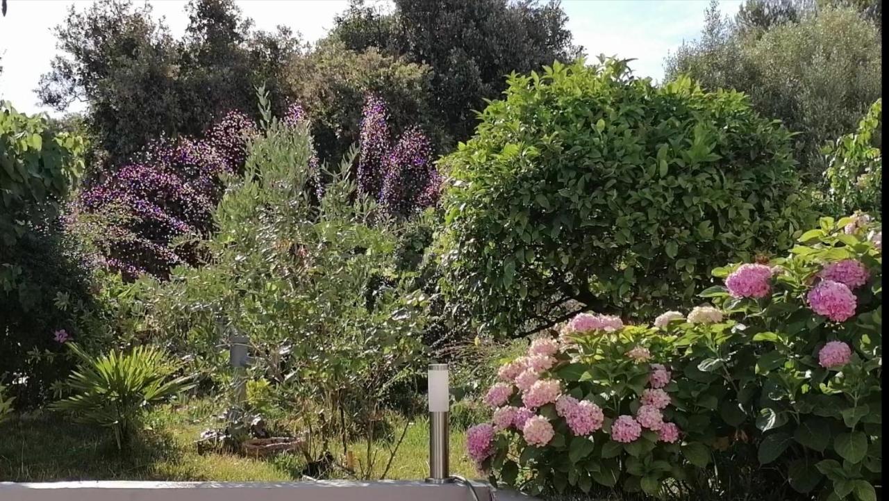 Apartment Lavanda Nova Ražanj Kültér fotó