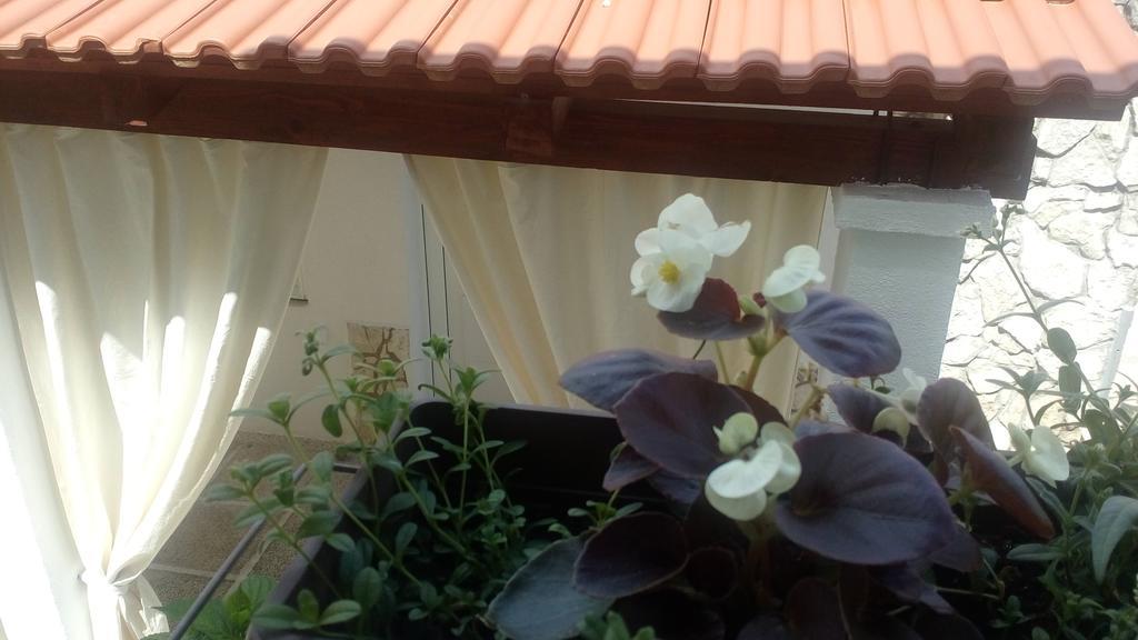 Apartment Lavanda Nova Ražanj Kültér fotó