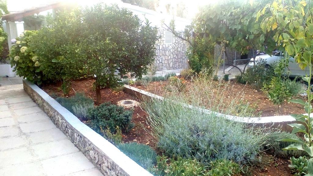 Apartment Lavanda Nova Ražanj Kültér fotó