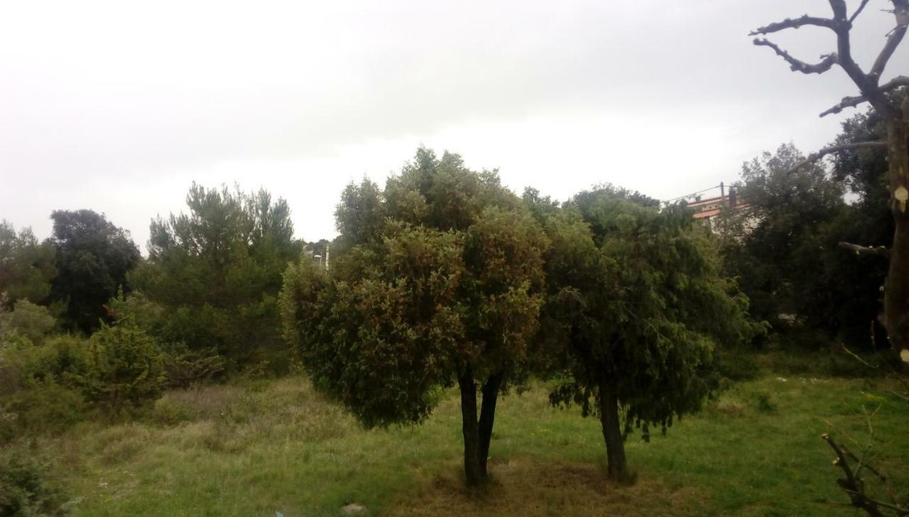 Apartment Lavanda Nova Ražanj Kültér fotó